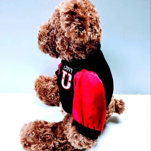 EUC Dan Dee Collector's Plush 17 " Brown Teddy Bear with Love U on the jacket - Picture 8 of 14